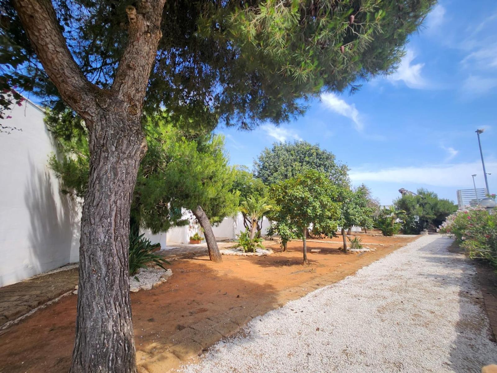 Hotel Solemare Галлиполи Экстерьер фото